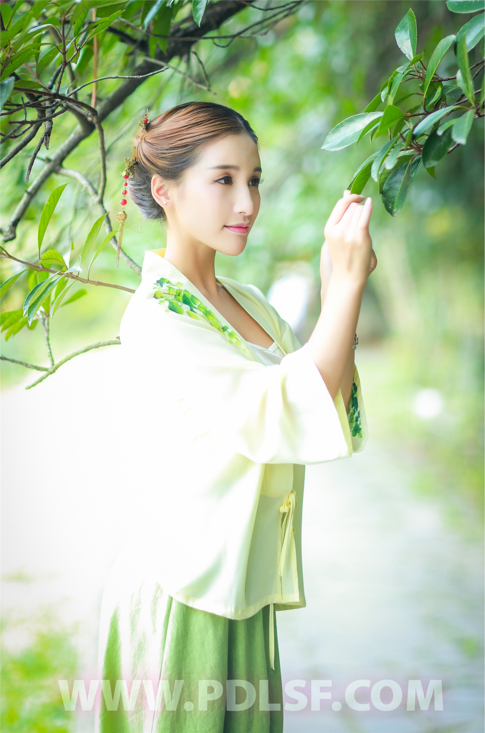 PDL潘多拉 2020.02.22 专辑No.281